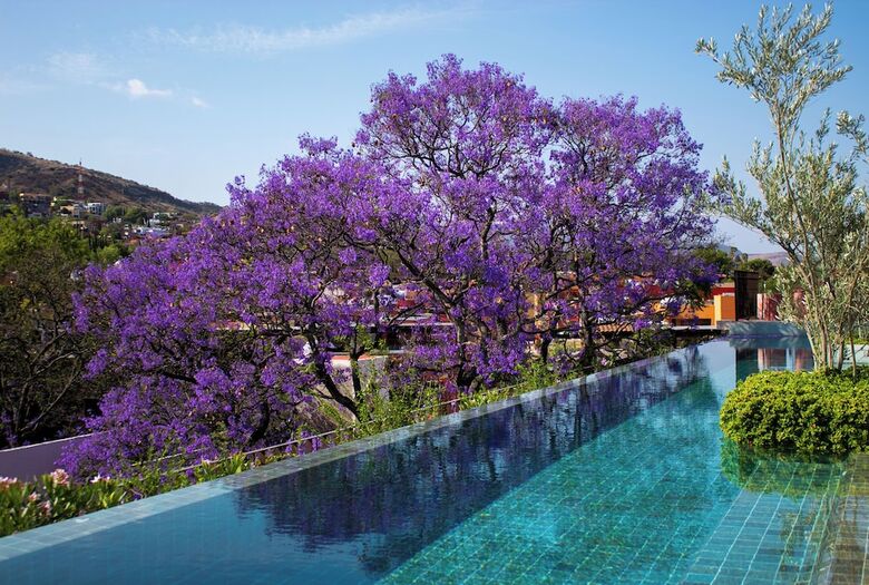Numu Boutique Hotel, The Unbound Collection By Hyatt