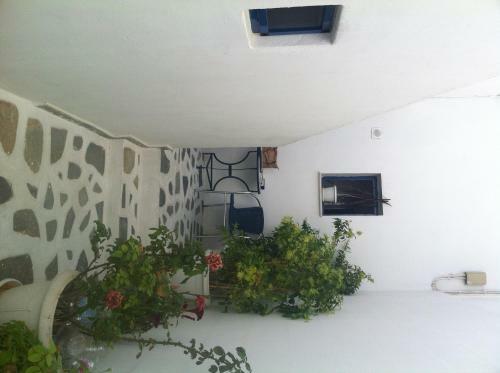 Apartamento Gorgona Studios