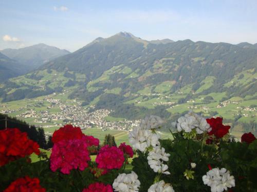 Apartamento Appartementhaus Eberharter