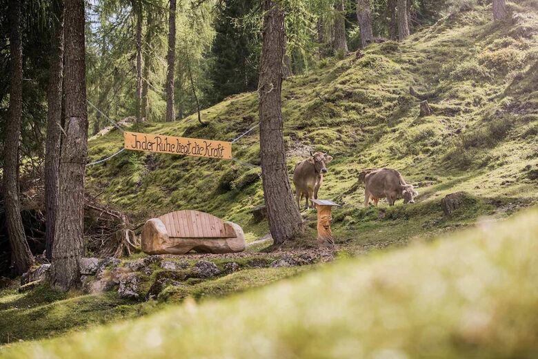 Alpenhotel Schlickeralm