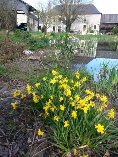 Bed & Breakfast La Ferme Du Temple