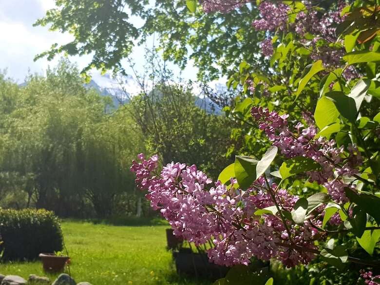 Pension Briza De Munte