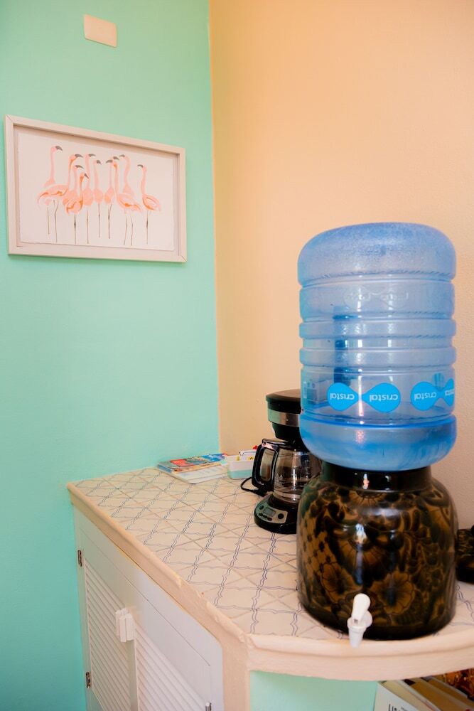 Bed & Breakfast Flamingos Inn