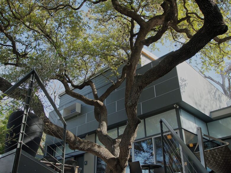 Frame Hotel - Treehouse