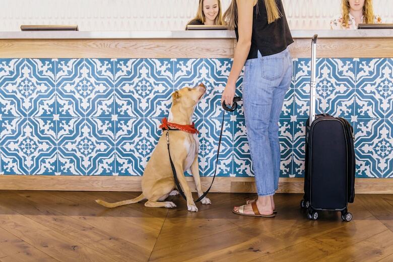 Hotel Adeline, Scottsdale, A Tribute Portfolio Hotel