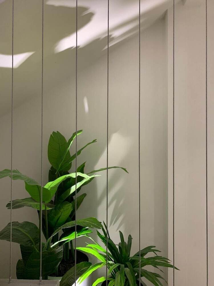 Hotel Blanco Pachuca
