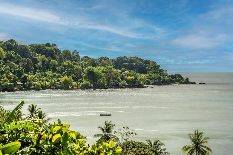 Cotingas Ocean View
