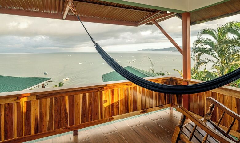 Cotingas Ocean View