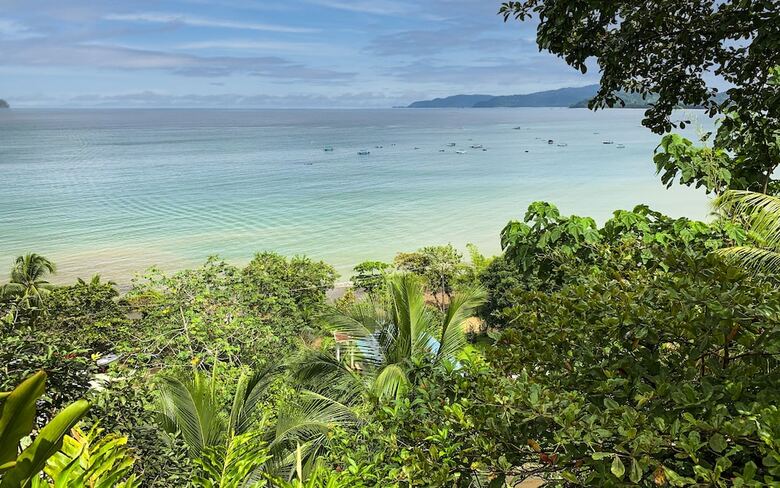 Cotingas Ocean View