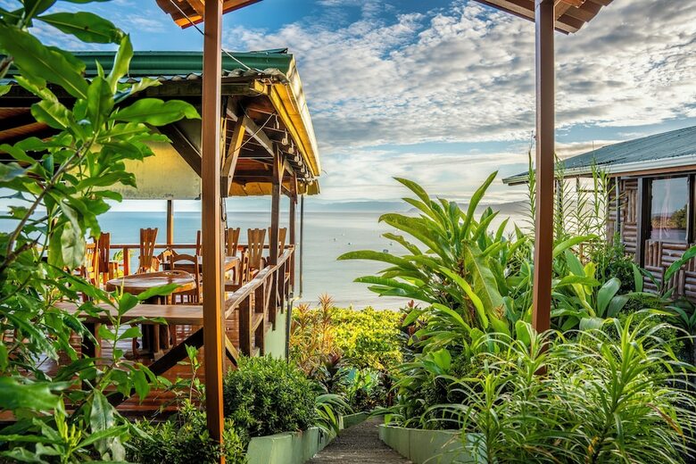 Cotingas Ocean View