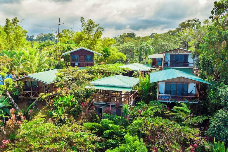 Cotingas Ocean View