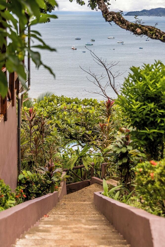 Cotingas Ocean View
