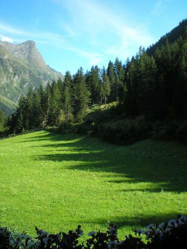 Posada Haus B�dele