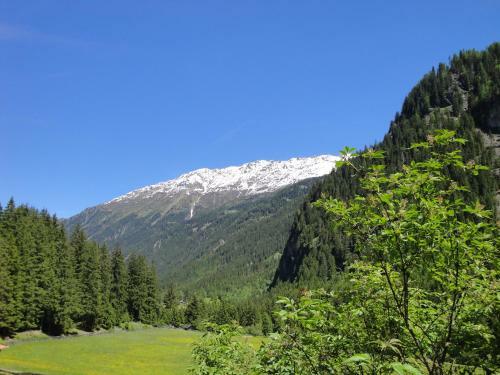 Apart Alpinea