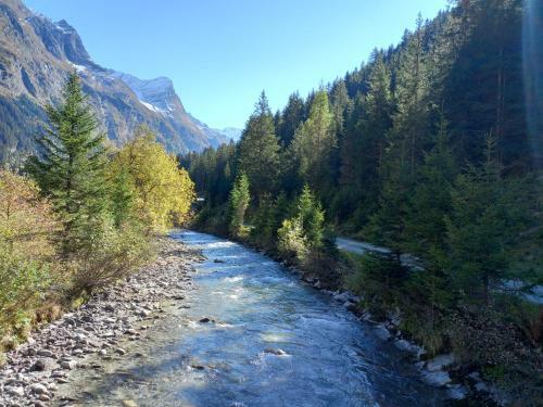 Apartamento Haus Waldfriede