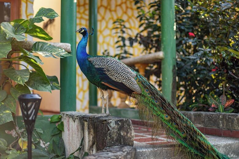 Portales Del Tayrona Garden Hotel