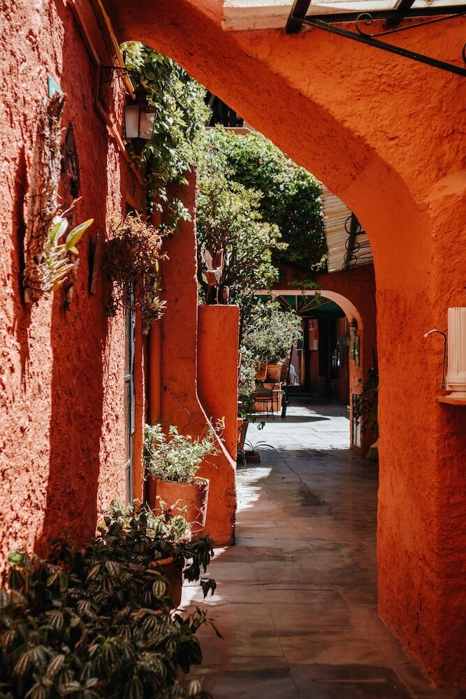 Hotel Mansion Del Bosque