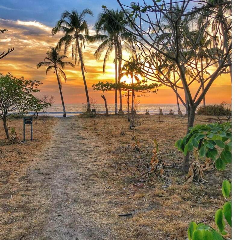 Villas Vr Beachwalk Avellanas