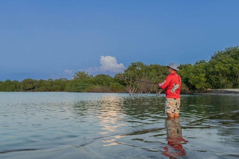 Villas Vr Beachwalk Avellanas
