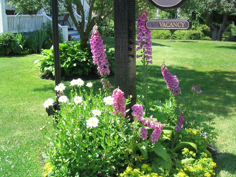 Bittersweet Bed And Breakfast