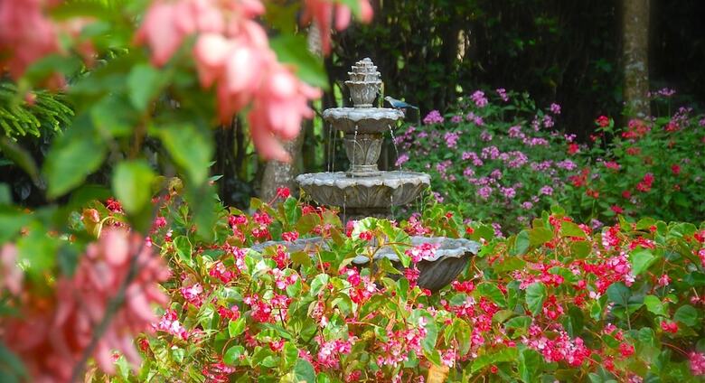 Bed & Breakfast Boquete Garden Inn Hotel