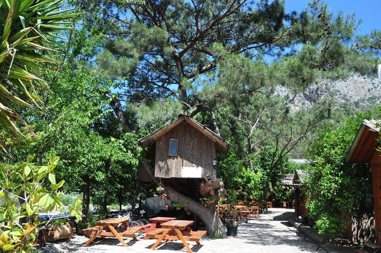 Turkmen Tree Houses