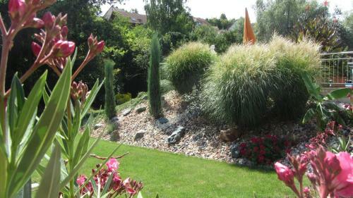 Hostal Pension Am Weinberg