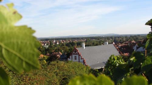 Hostal Pension Am Weinberg