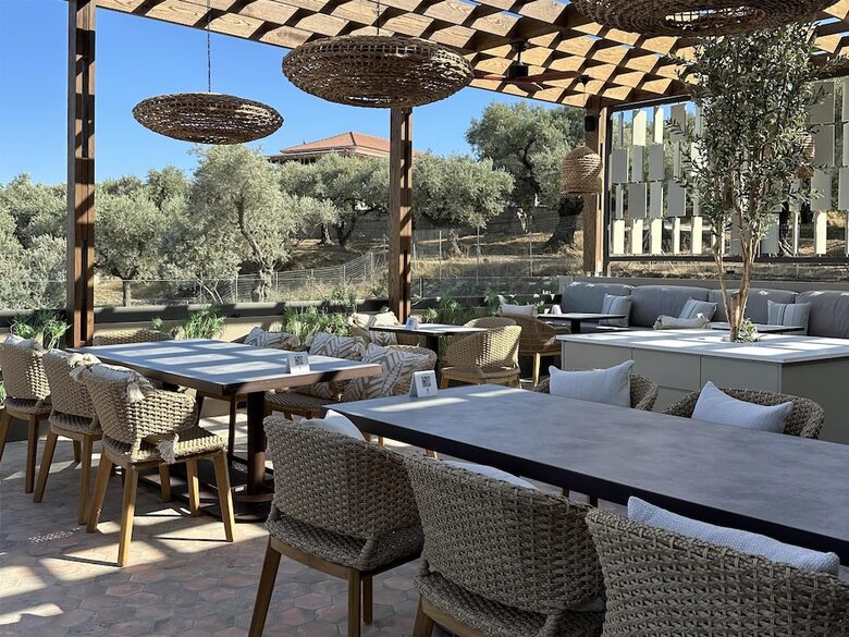 Hotel King Jason Zante ? Designed For Adults