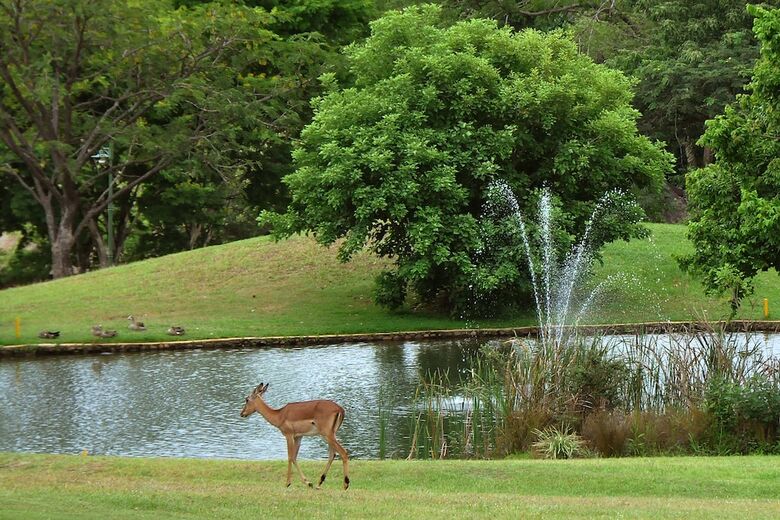 Kruger Park Lodge Unit 610b