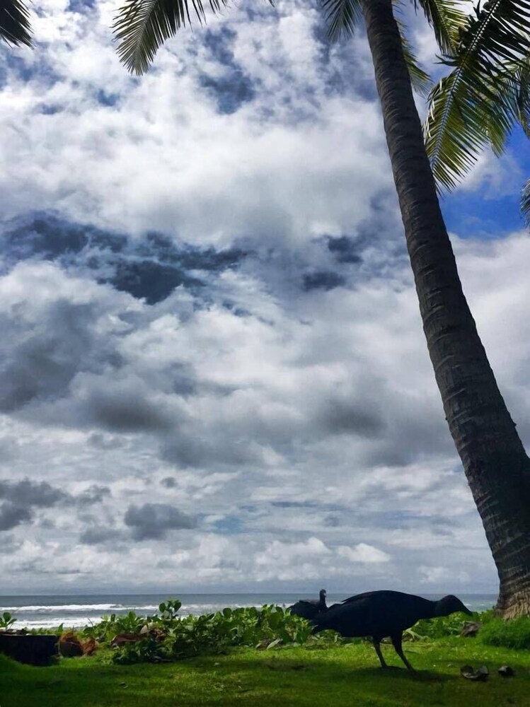 Hotel Laguna Mar