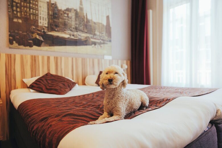 Boutique Hotel Asterisk, A Family Run Hotel