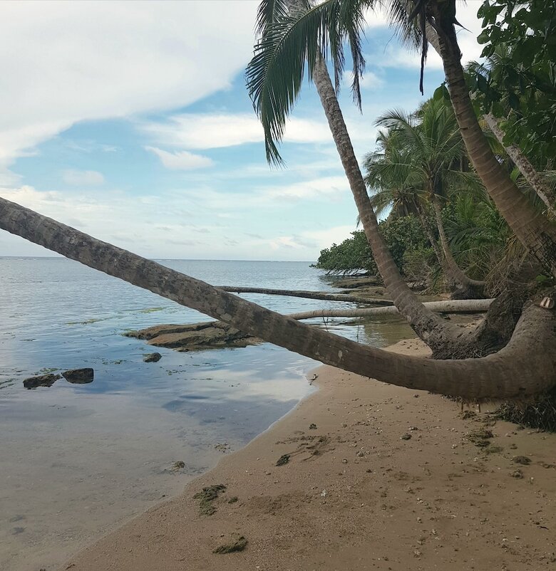 Ciudad P�rdida Ecolodge