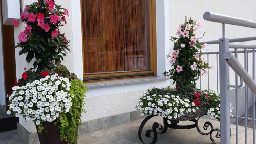 Hostal Haus Binder