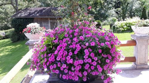 Hostal Haus Binder
