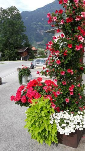 Hostal Haus Binder
