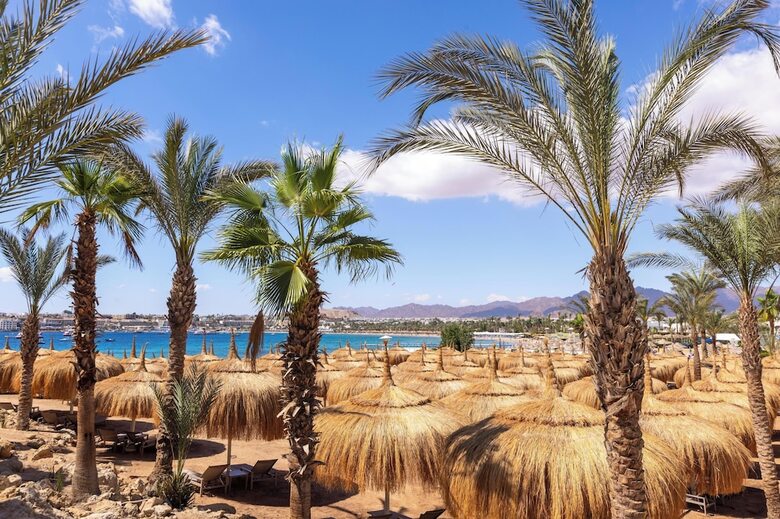 Swiss�tel Sharm El Sheikh All Inclusive Collection