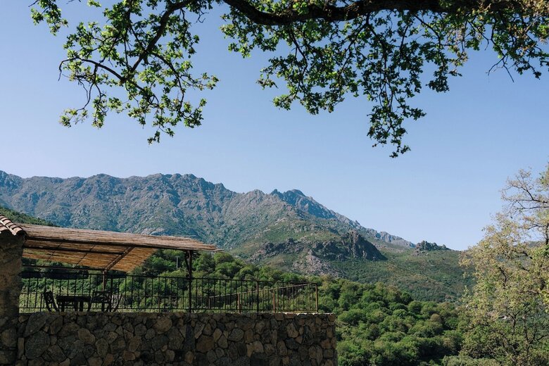 Domaine Acciola