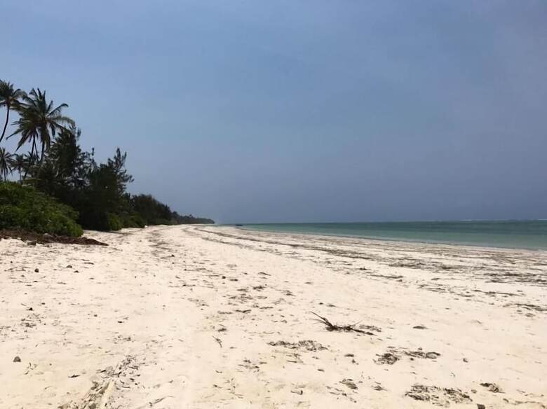 Hotel Protels La Plage