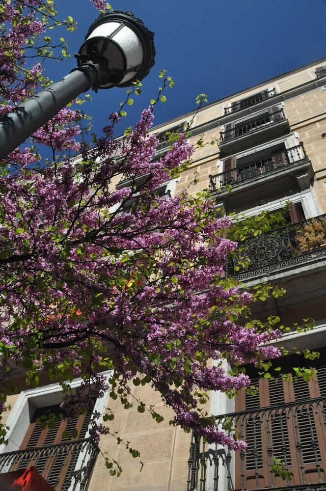 Pension Hostal Patria