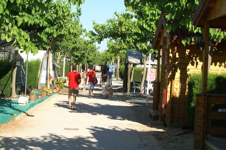 Bungalows Oasis