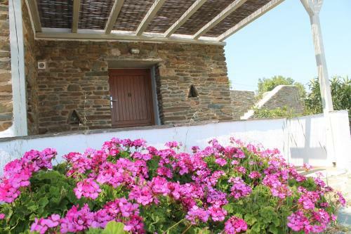 Apartamento En Plo