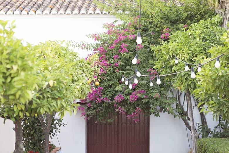 Hotel & Restaurant Cortijo Del Arte