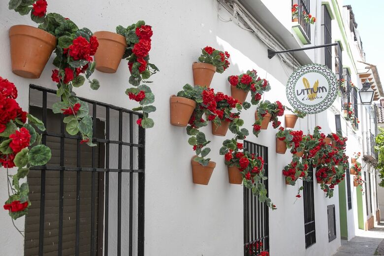Hotel Vitium C�rdoba