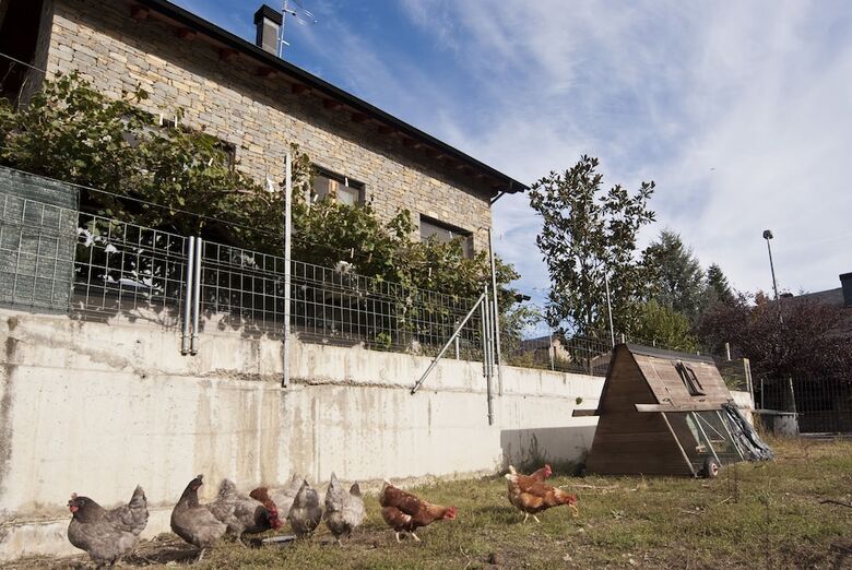 Bed & Breakfast Can Congost