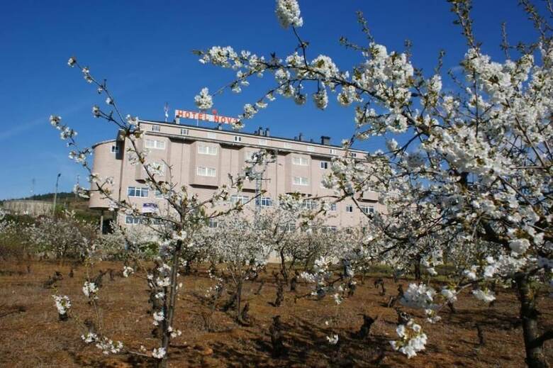 Hotel Novo