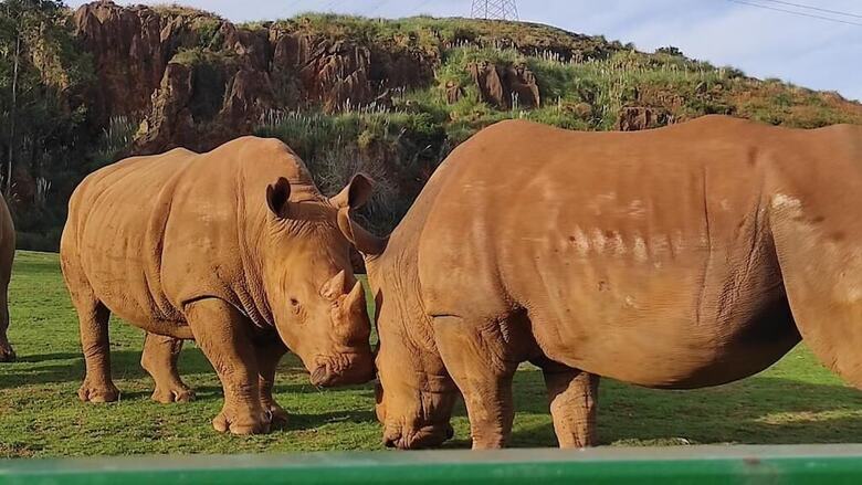 Pension Posada R�o Cubas