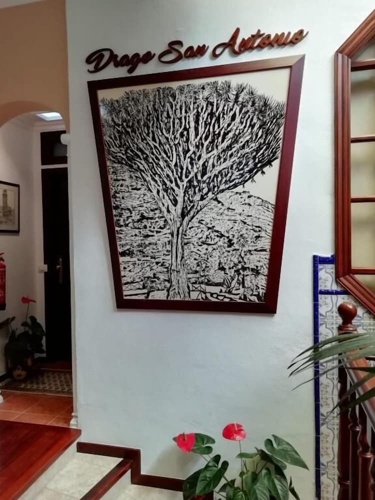 Hotel Drago San Antonio