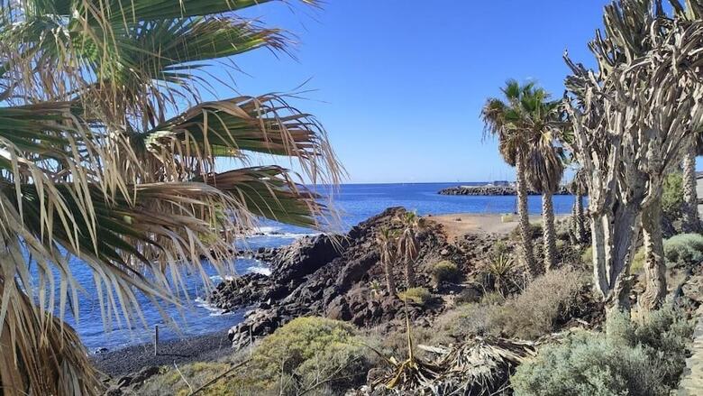 Bed & Breakfast Surf Harbour