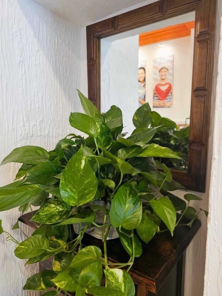 Hostal Arc House Granada